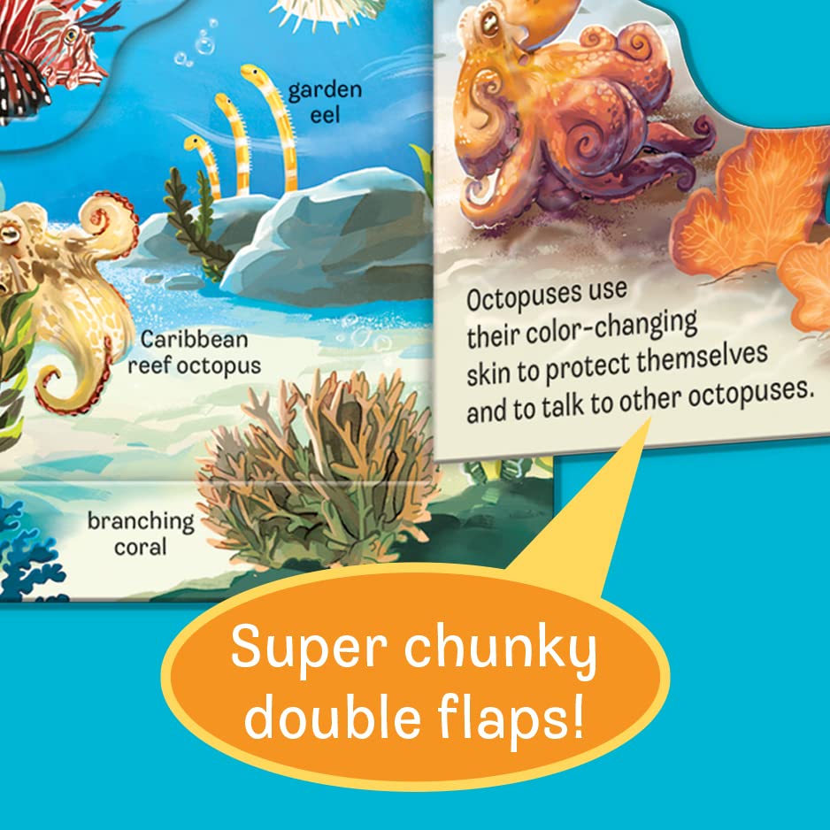 Peek-a-Flap Ocean Children's Lift-a-Flap Board Book for Children Learning about the Sea and Water Animals,