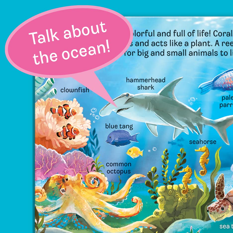 Peek-a-Flap Ocean Children's Lift-a-Flap Board Book for Children Learning about the Sea and Water Animals,