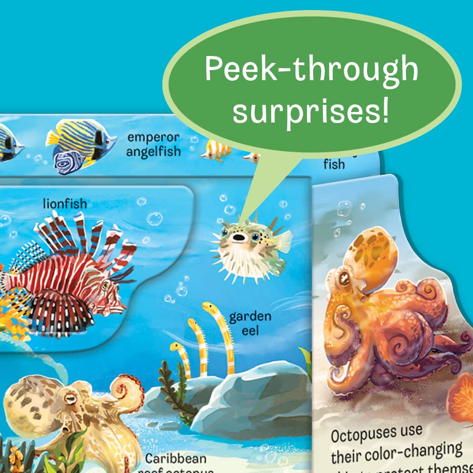 Peek-a-Flap Ocean Children's Lift-a-Flap Board Book for Children Learning about the Sea and Water Animals,