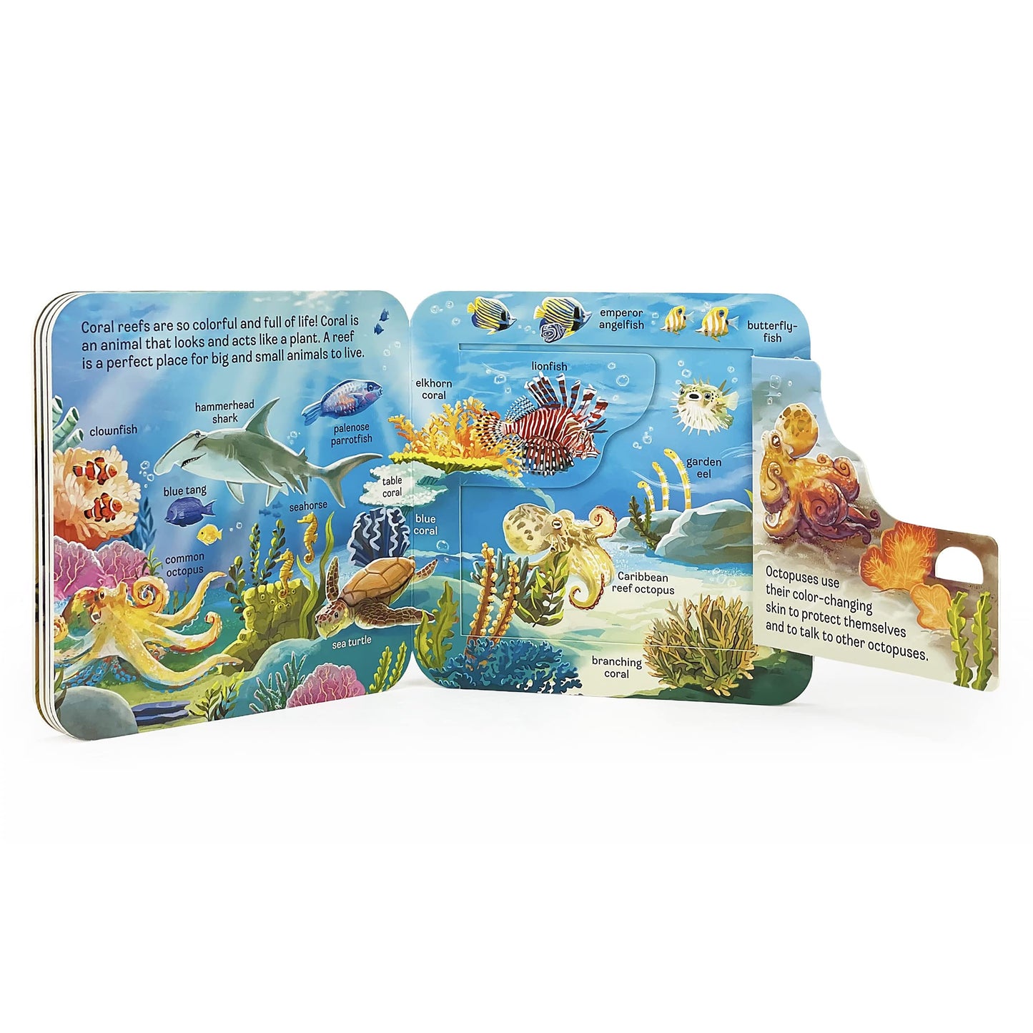 Peek-a-Flap Ocean Children's Lift-a-Flap Board Book for Children Learning about the Sea and Water Animals,