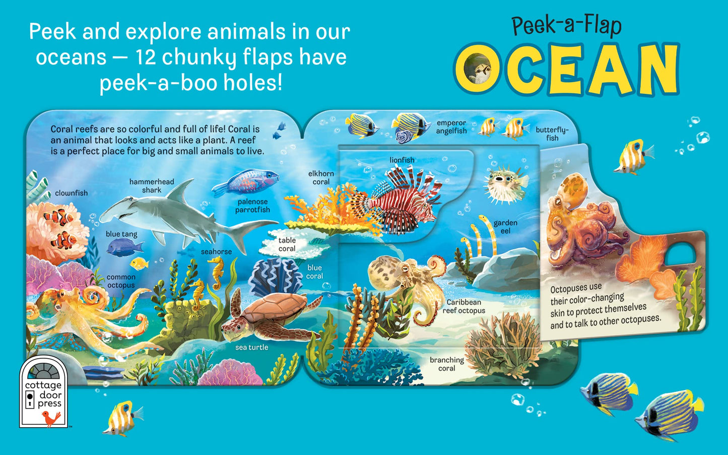 Peek-a-Flap Ocean Children's Lift-a-Flap Board Book for Children Learning about the Sea and Water Animals,