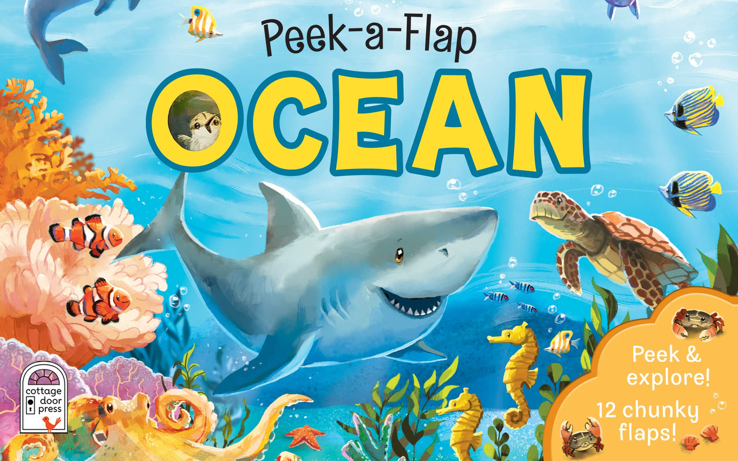 Peek-a-Flap Ocean Children's Lift-a-Flap Board Book for Children Learning about the Sea and Water Animals,