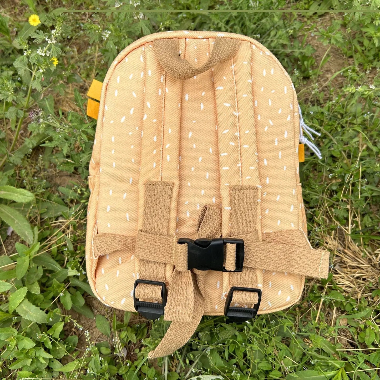 Canvas BACKPACK